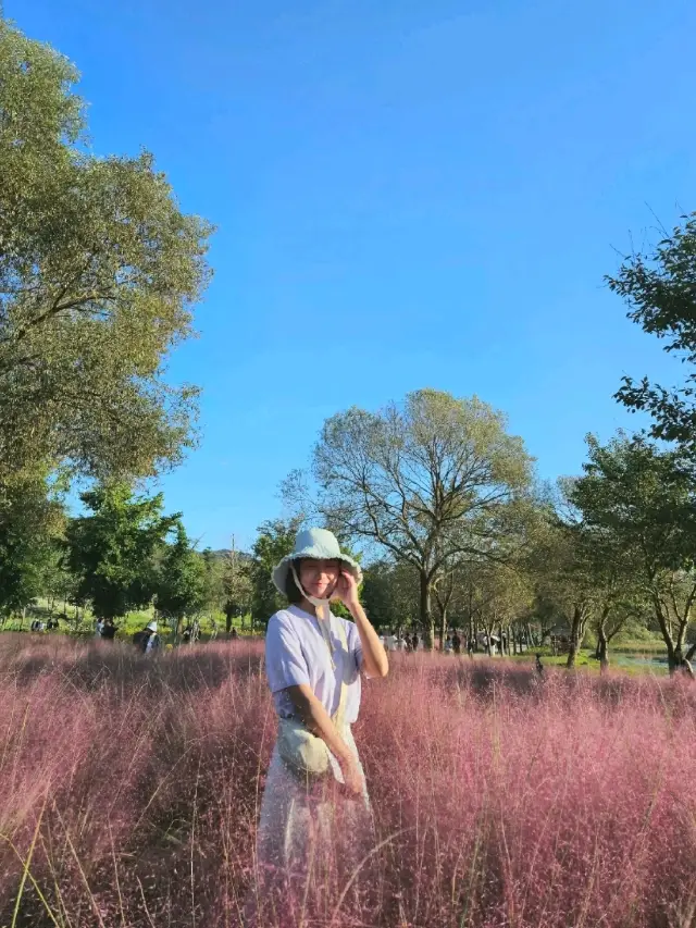 서울근교 당장 가야할 꽃동산 🌺 가평 자라섬