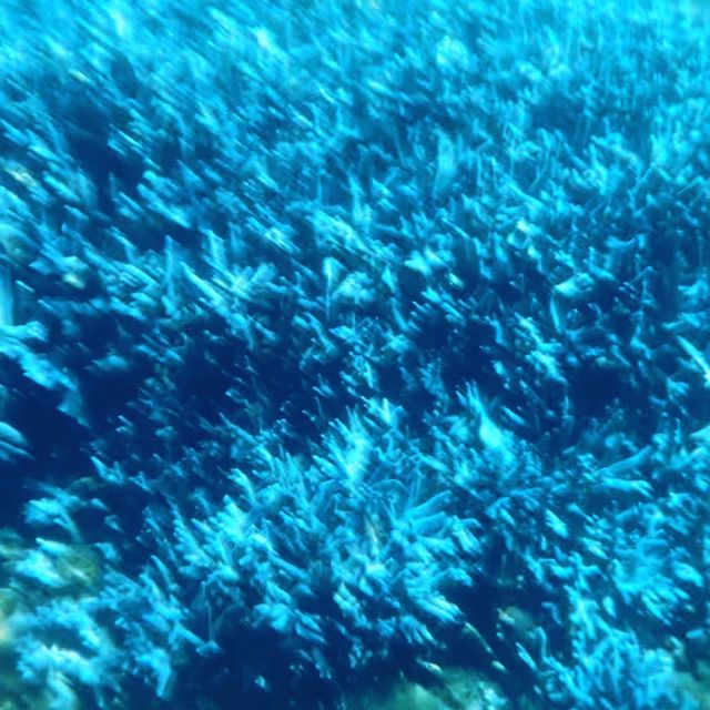東吉嶼 