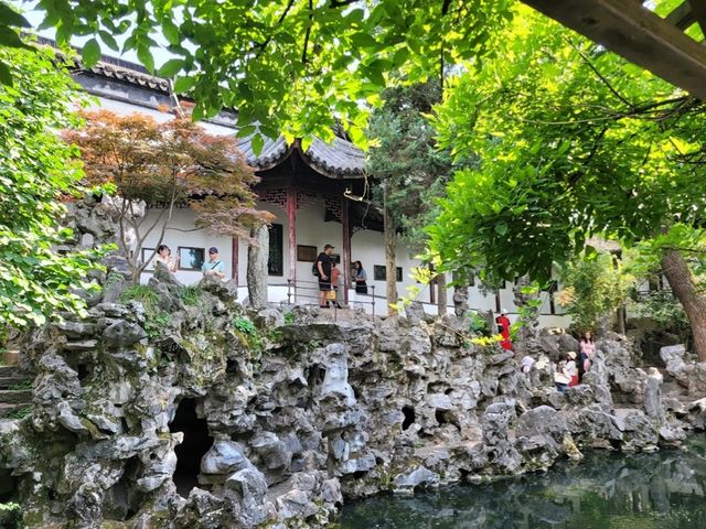 Lion Grove Garden