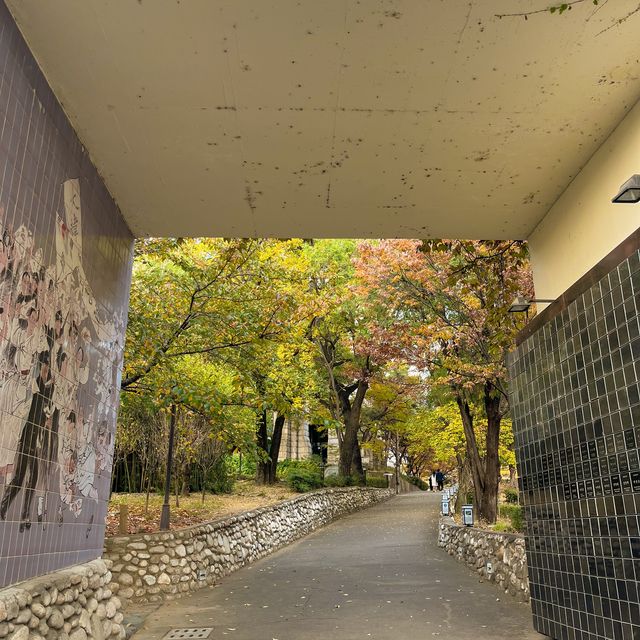 이국적인 단풍 뷰를 구경할 수 있는 대구 여행지 🍁
