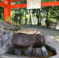 犬山市針網神社⛩️一日遊必到之景點