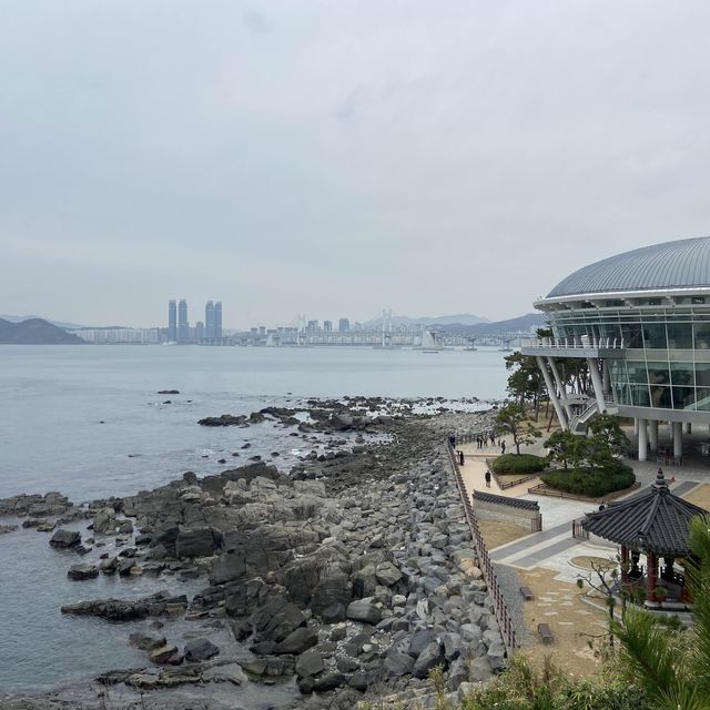 부산 야외 가볼만한곳 동백섬