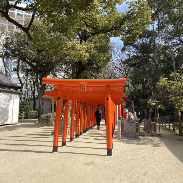 Best view of the Sumiyoshi Jinja