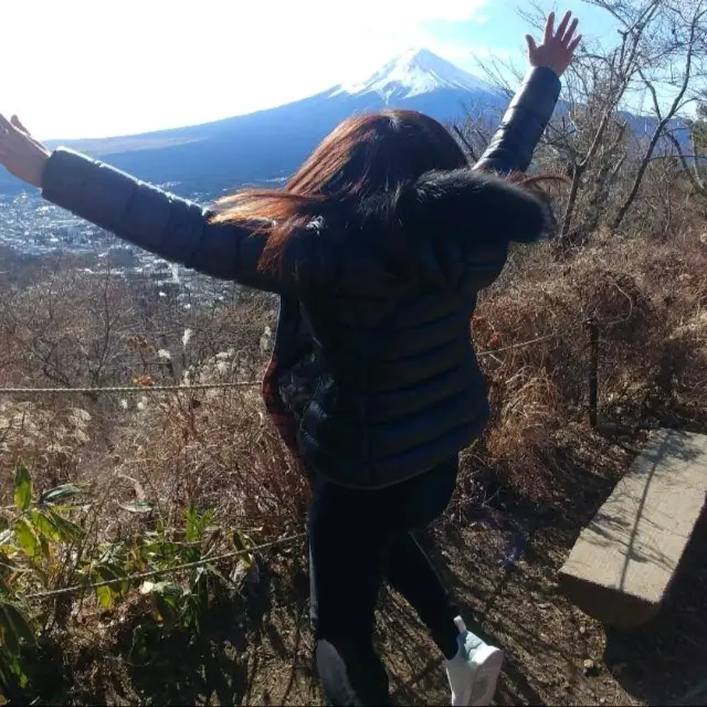 東京富士山温泉，食，買，玩之旅