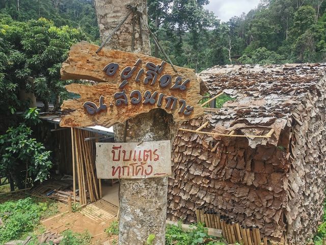 🏡 อยู่เถื่อน ณ สวนเกาะ 