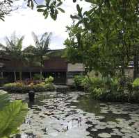 🪷荷花池中的泰日fusion樹屋餐廳🌳 
