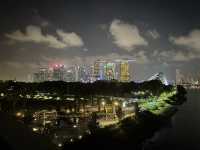 Best Night View of the Singapore Skyline