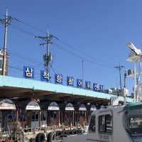 강원도여행 왔으면 이곳에서부터 시작! 삼척항 대게거리🦀