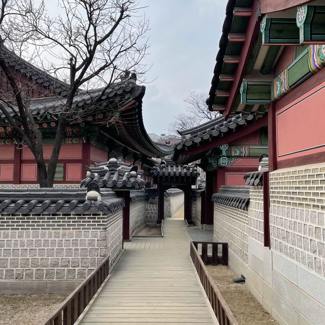 봄에 가면 좋은 창경궁 데이트