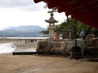 Miyajima and deers of God