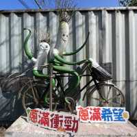 宜蘭 星寶蔥體驗農場 下田拔蔥 手作蔥油餅 還有可愛動物