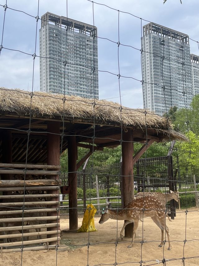 인천 송도 센트럴파크에서 드론쇼 보며 눈부신 추억 쌓기💛