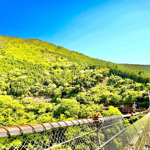 谷瀬の吊り橋