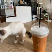 Evermore cafe🐱☕️🌸