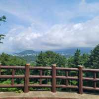 서귀포 여행 중 삼매봉 공원 정상에서 휴식