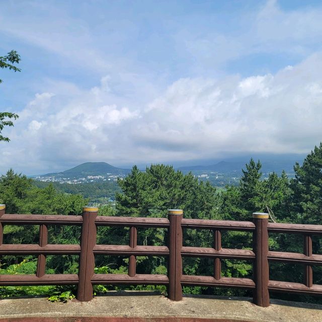 서귀포 여행 중 삼매봉 공원 정상에서 휴식