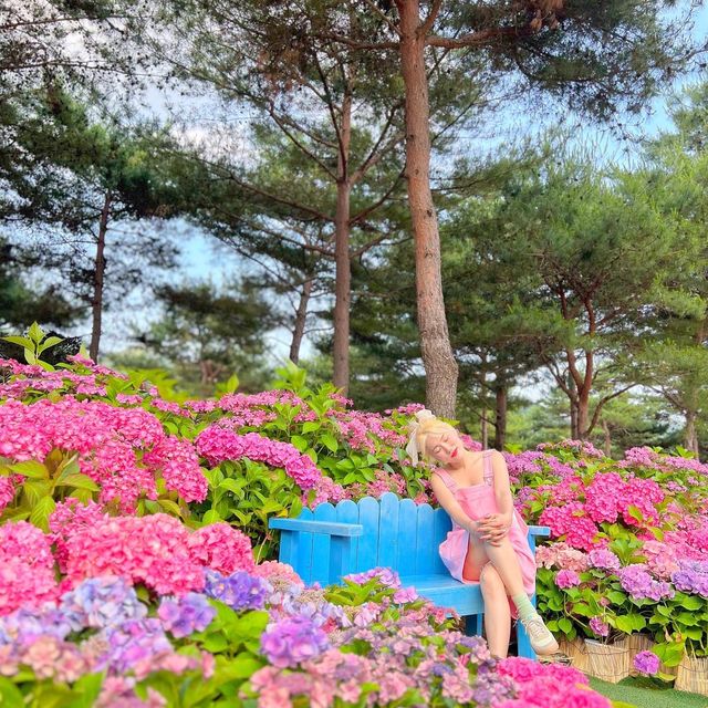 봄꽃놀이 요기 가면 다 있어요😘💓