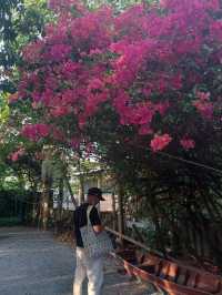 Hidden Oasis in Bangkok - Poomjai Garden