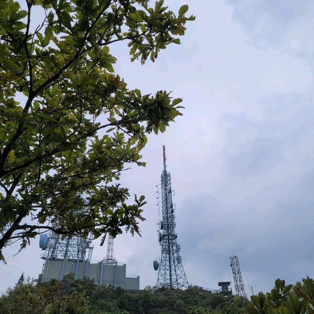 두근두근여름휴가 대전 식장산 정상