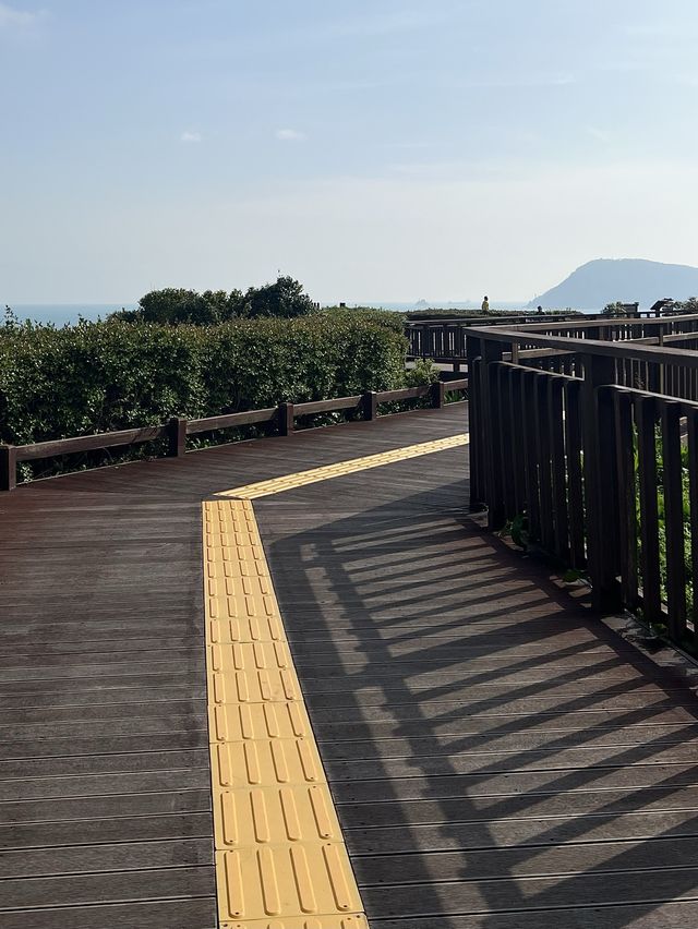 แนะนำพิกัดที่เที่ยวปูซาน Oryukdo Skywalk 🌼🌿🌊