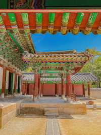 울창한 대나무숲 포토존이 유명한 전주 핫플!🍃🎋