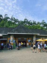 《台北》動物夏夏叫 暑假才能體驗的夜間活動-台北市立動物園