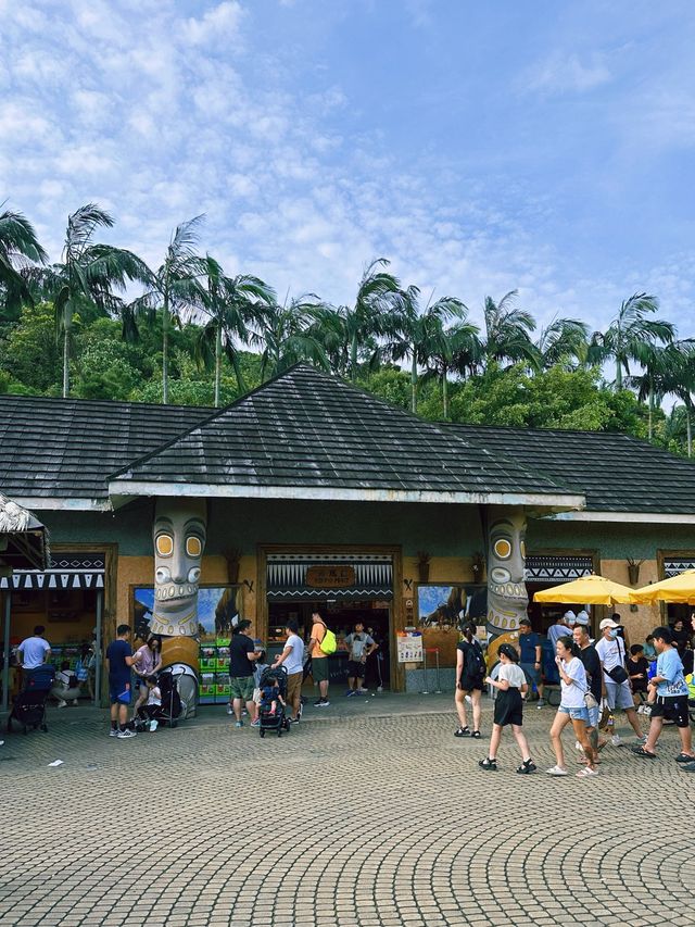 《台北》動物夏夏叫 暑假才能體驗的夜間活動-台北市立動物園
