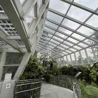 A treat to the senses@National Orchid Garden