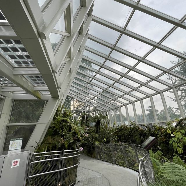 A treat to the senses@National Orchid Garden