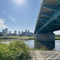 📍多摩川/東京