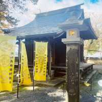 【長野県/高さ40mの夫婦銀杏が美しく紅葉を始めた佛法紹隆寺】