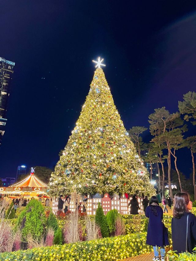 19m짜리 초대형 크리스마스트리🎄✨