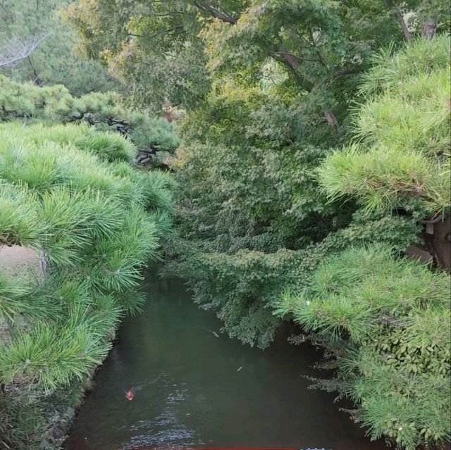 栗林公園　花園亭　焼きたてみたらし団子