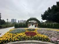WINTER FRESH at Taipa Houses-Museum 🌸