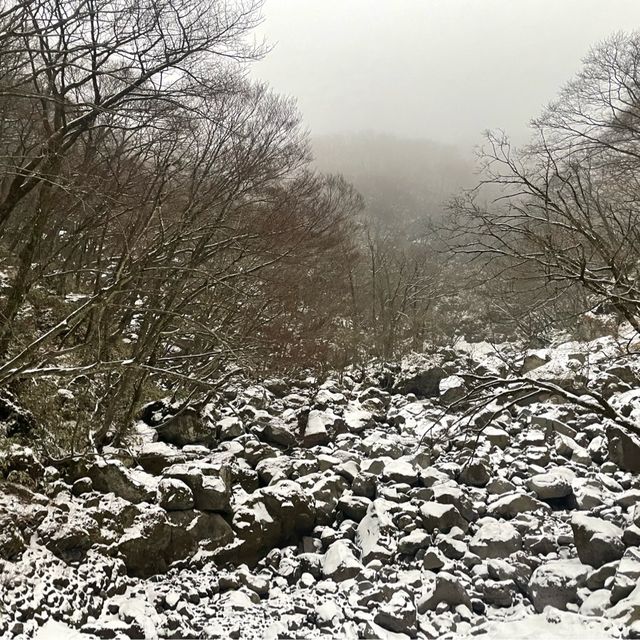 제주 🗻한라산🗻관음사(삼각봉) 등산(왕복6시간)