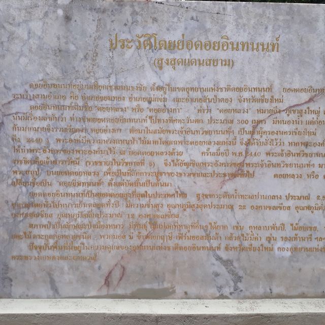 ทริปดอยอินทนนท์และดอยสุเทพ