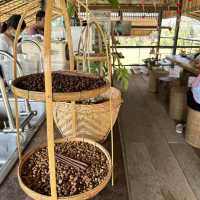 วิสาหกิจชุมชนบ้านสบขุ่น : กาแฟสร้างป่า
