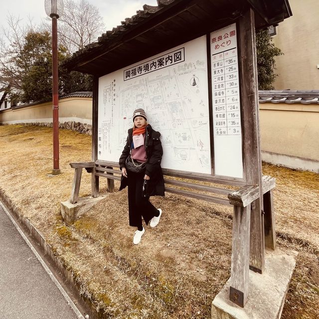 即將維修的興福寺五重塔
