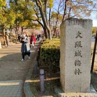 【大阪】梅の花見ならココ🏯大阪城梅林がオススメ