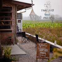 ThursdayEspresso แพร่