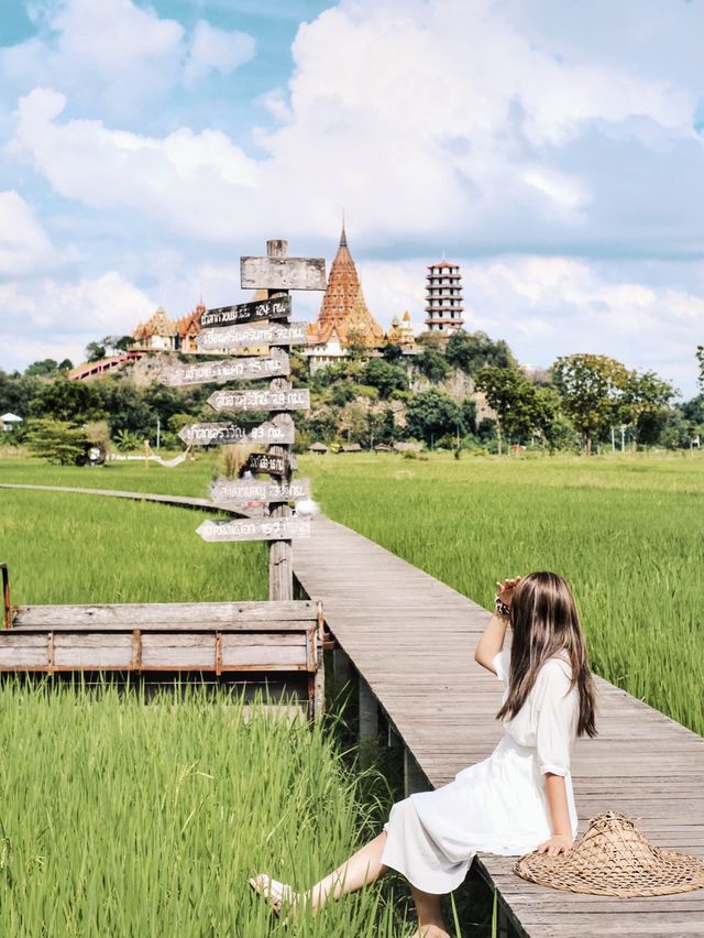 泰國曼谷近郊打卡 | meena cafe 🌾  稻田咖啡廳