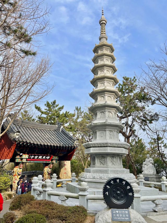 부산 기장 해동용궁사 부산여행에 꼭 넣으세요❣️