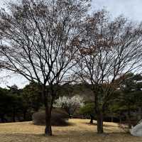 A Whirlwind of Delights in Myeong-dong