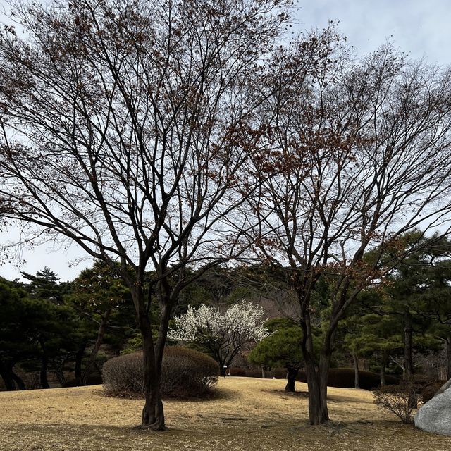 A Whirlwind of Delights in Myeong-dong