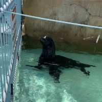 【長野県/長野市城山動物園と遊園施設】