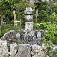 静岡市を一望する徳願寺
