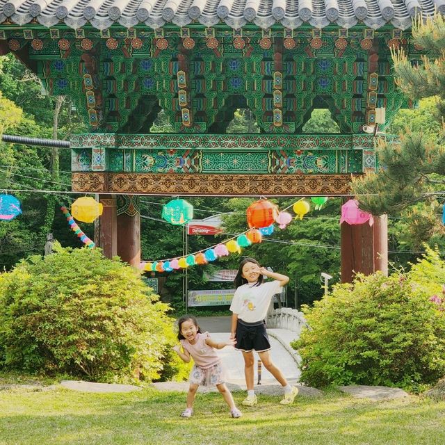 봄을 지나 여름이 오는 비슬산 초록초록 산책로