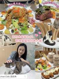😹荔枝角貓貓Cafe 萌爆貓貓陪你食大餐