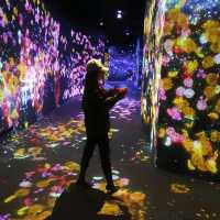 "Enchanted Pixels: TeamLab Borderless Shanghai Unveiled"