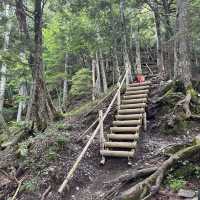 【山梨】いざ夏山へ！広河原から白根御池までの登山道